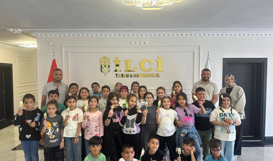Yerköy İbrahim Karaoğlanoğlu İlkokulu