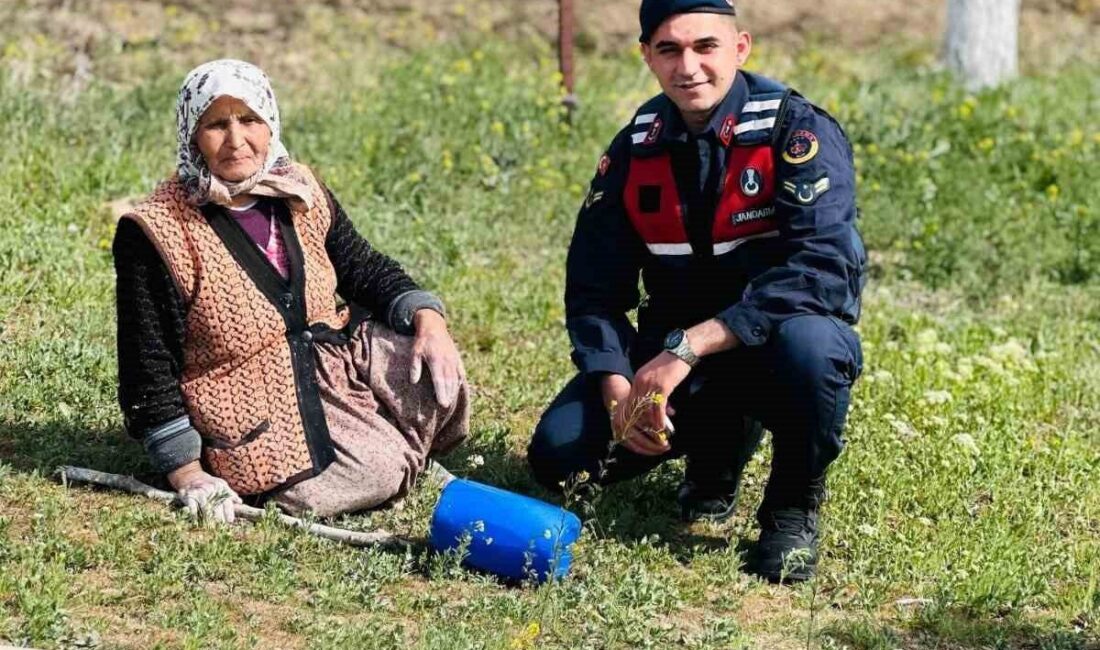 Jandarmadan köylerde dolandırıcılık ve güvenlik bilinçlendirme buluşmaları Akpınar Jandarması, köylerde dolandırıcılık