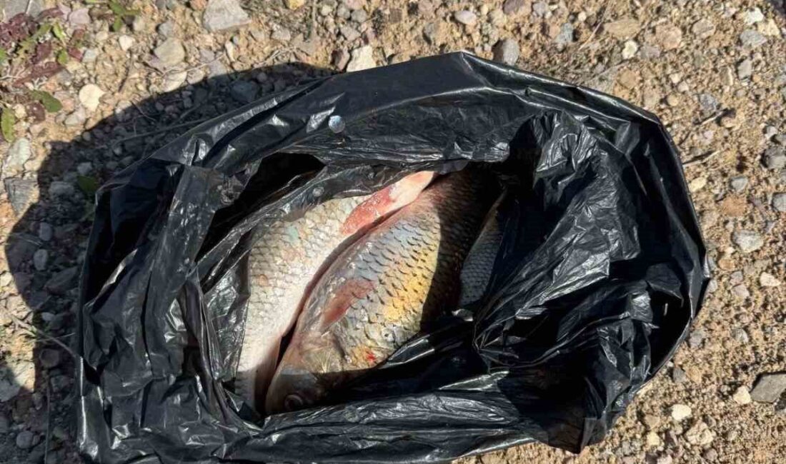 Kaçak Balık avı yapan 2 kişi yakalandı Kırşehir'de yasa dışı balık