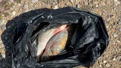 Kırşehir'de yasa dışı balık avcılığı yapan I.K. ve Y.A.'ya jandarma