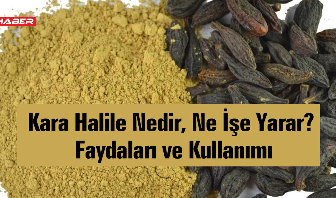 Doğal bitkiler arasında son yıllarda adı sıkça duyulan kara halile,