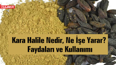 Doğal bitkiler arasında son yıllarda adı sıkça duyulan kara halile,