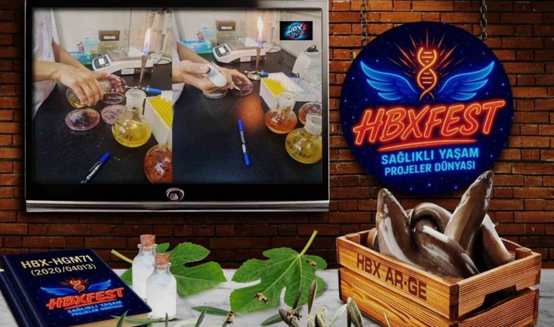 Aydın Adnan Menderes Üniversitesi Teknokent'te faaliyet gösteren Karya Farma HBX