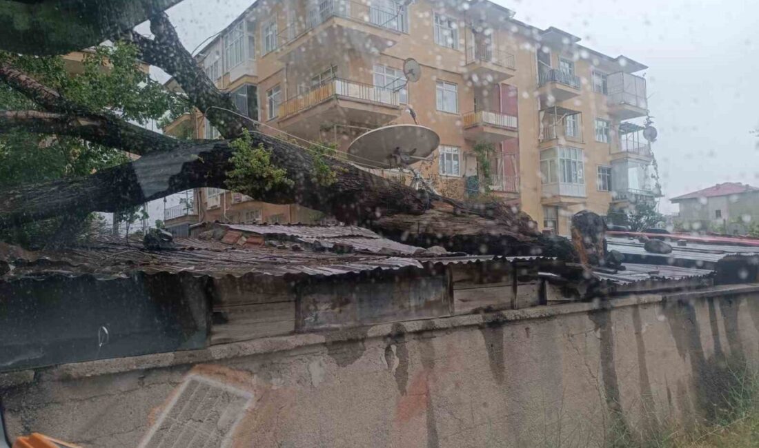 Kırıkkale'de şiddetli rüzgarın etkisiyle devrilen ağaç, bir evin çatısına zarar