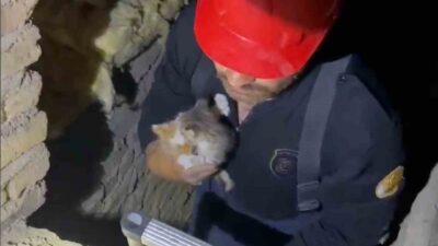 Kırıkkale'de bir apartmanın havalandırma boşluğuna düşen 2 yavru kedi, itfaiye