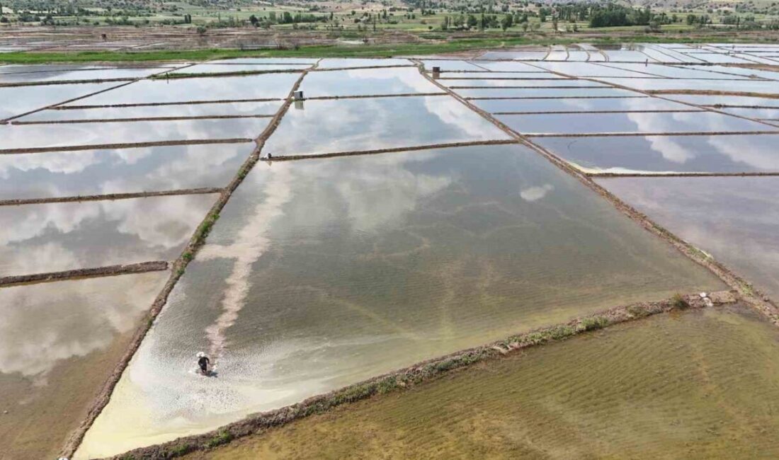 Çorum'da Kızılırmak Nehri suyuyla