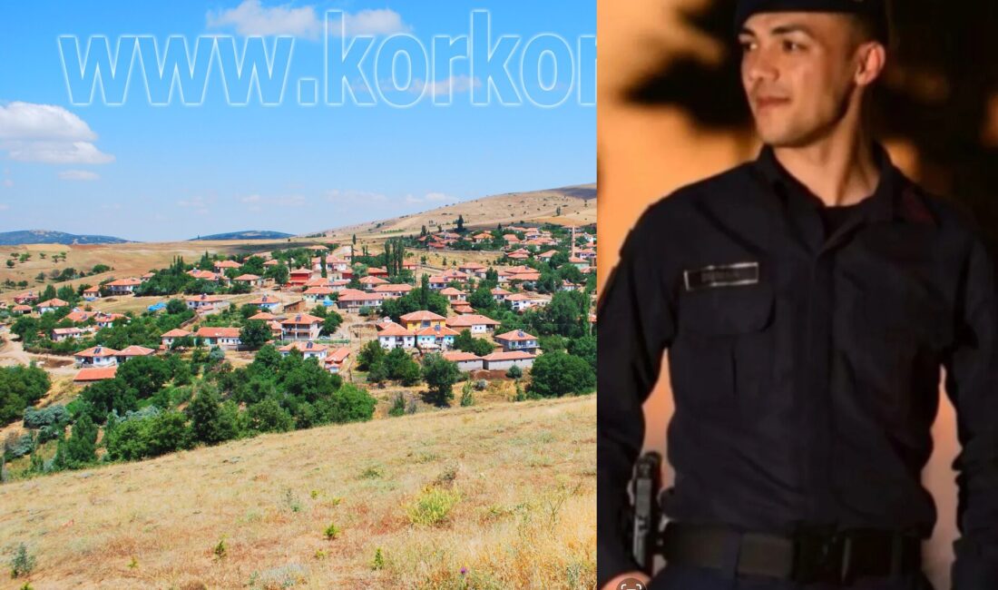 Yaylaözü (Korkorlu) Köyü nüfusuna