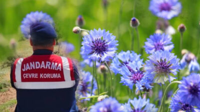 Karanlıkdere Vadisi’nde, doğayı ve endemik bitki türlerini korumaya yönelik önleyici