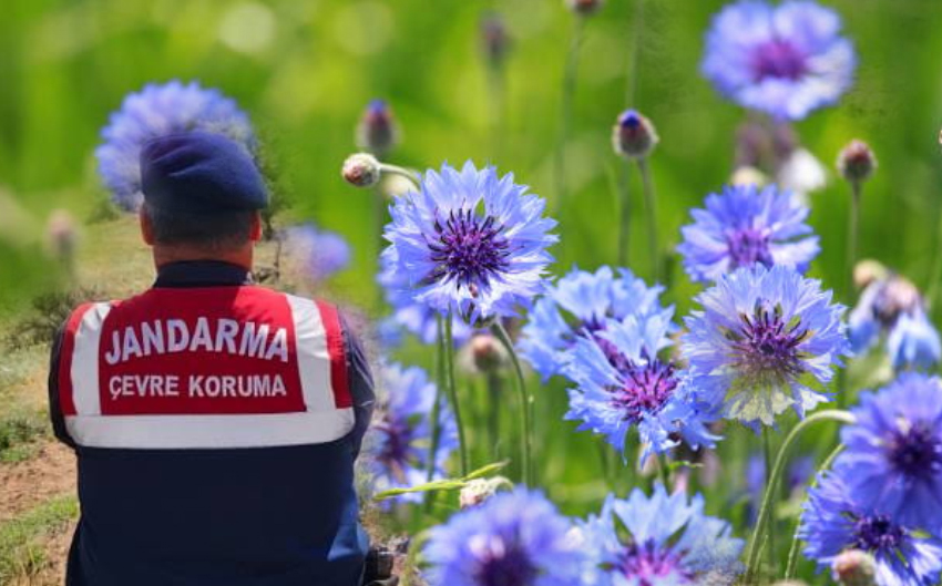 Karanlıkdere Vadisi’nde, doğayı ve endemik bitki türlerini korumaya yönelik önleyici