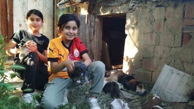 Çorum'un Osmancık ilçesindeki Esentepe Mahallesi'nde 13 yavru doğuran sokak köpeği,