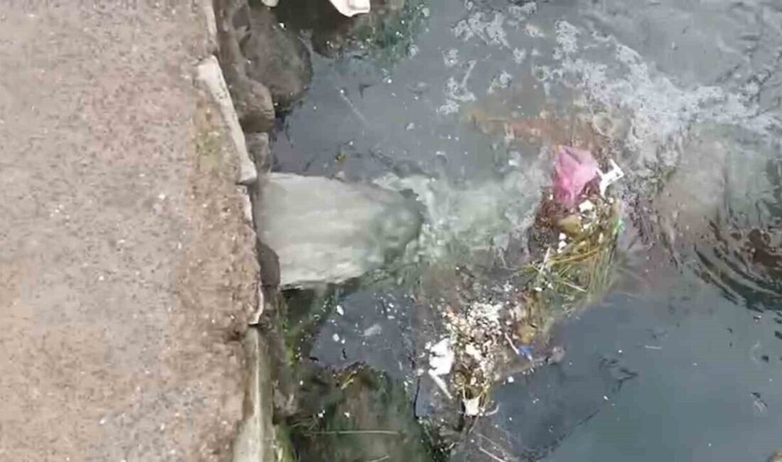 Yalova'nın Çınarcık Belediyesi'ne Marmara Denizi'nde kirliliğe sebep olduğu için 1
