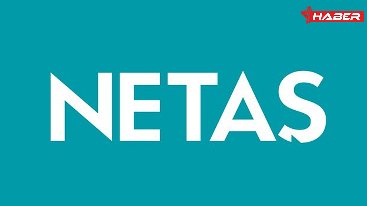 netaş kime ait