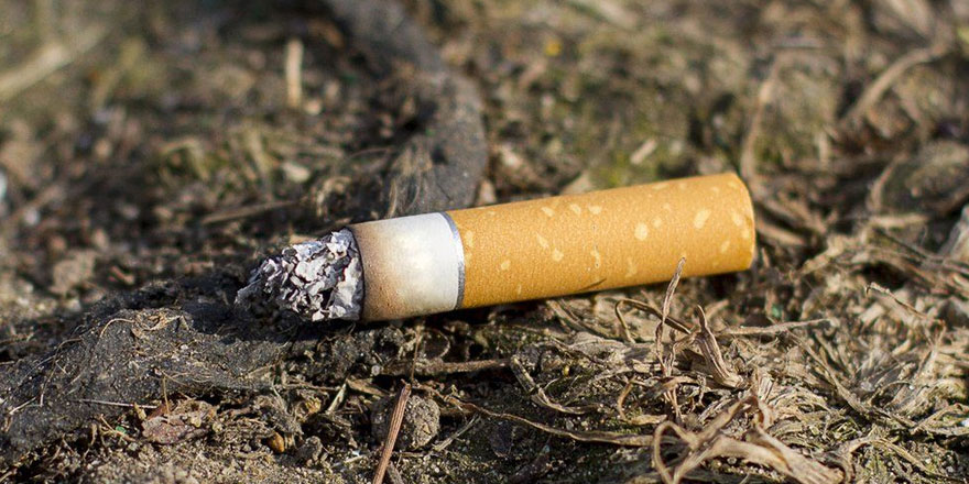 Yozgat Valiliği'nden Orman Yangınlarına Karşı Uyarı
