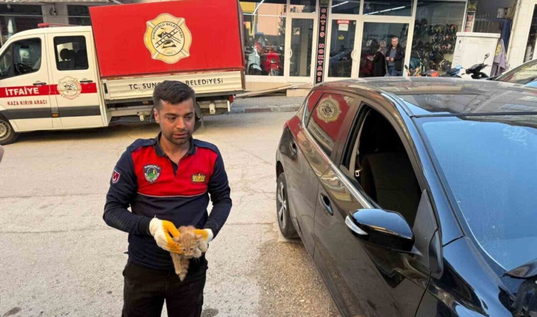 Otomobilin motor kısmına giren yavru kediyi itfaiye kurtardı Çorum'un Sungurlu ilçesinde aracın