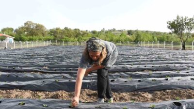 Ankara'da işinden istifa eden Gül Akyol ve eşi, Bahadın'a yerleşerek