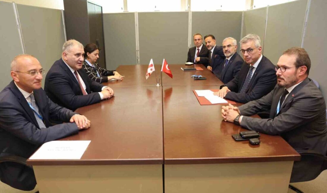 Sağlık Bakanı Kemal Memişoğlu, Gürcistanlı mevkidaşı Mikheil Sarjveladze ile görüşerek