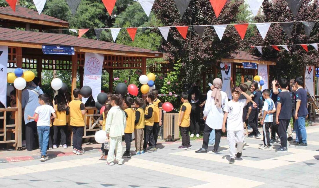 Siirt Bilim Şenliği, TÜBİTAK 4007 programı çerçevesinde öğrencilere bilim, teknoloji
