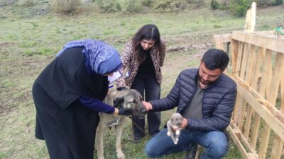 Çekerek köyündeki köpeğin kamyonetten atlamasıyla sosyal medyada linç edilen Furkan