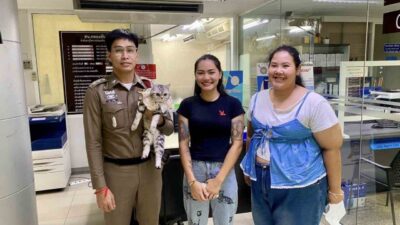 Tayland'ın başkentinde bir kedinin polisleri ısırması sonucu mizah amaçlı sabıka