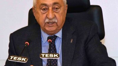 TESK Genel Başkanı Bendevi Palandöken, Sosyal Güvenlik Haftası'nı kutlayarak sosyal