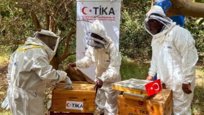 TİKA, Sudan'ın Nil Nehri eyaletinde arıcılıkla uğraşan 25 çiftçiye arıcılık