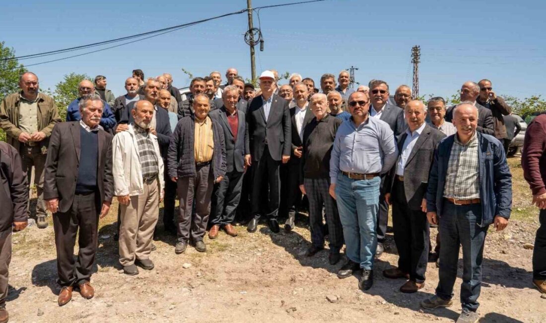 TZOB Genel Başkanı Şemsi Bayraktar, don nedeniyle zarar gören fındık