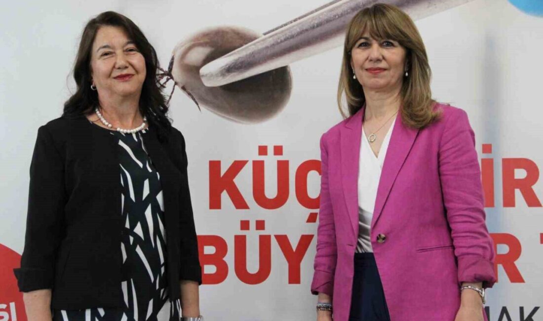 Prof. Dr. Aysel Kocagül Çelikbaş, kenenin alkol, yağ veya gaz