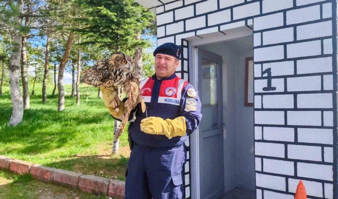 Çekerek ilçesinde bulunan Yozgat İl Jandarma Komutanlığı Çevre Doğa ve