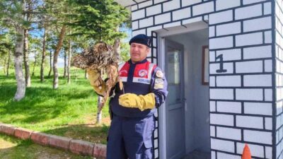 Çekerek ilçesinde bulunan Yozgat İl Jandarma Komutanlığı Çevre Doğa ve