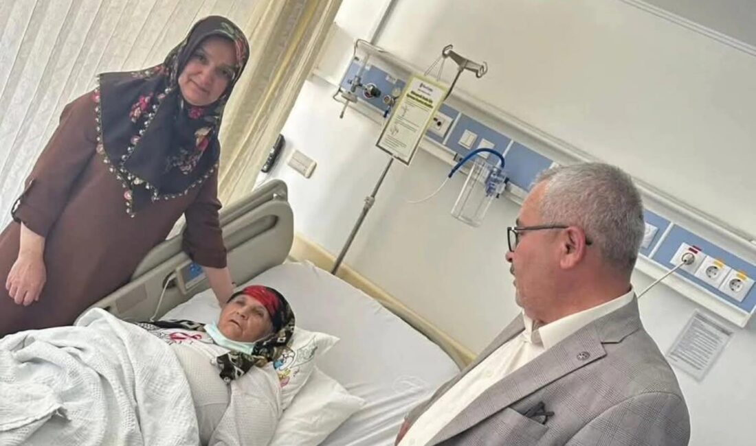 Milliyetçi Hareket Partisi (MHP)