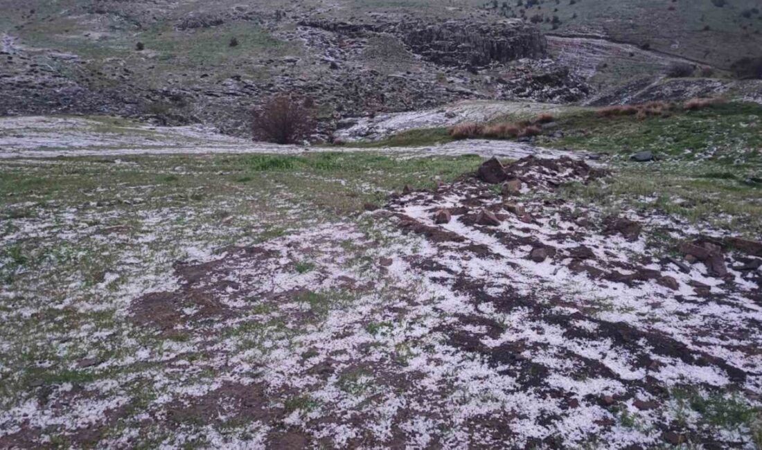 Yozgat'ta akşam saatlerinde etkili olan sağanak yağış, Alemdar Köyü'nü beyaza