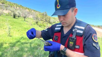 Yozgat'ta yaralı halde bulunan ve Azizlibağları Köyü'nde Jandarma ekiplerince bulunan