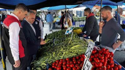 Çorum Belediyesi ve İl Tarım ve Orman Müdürlüğü ekipleri, semt