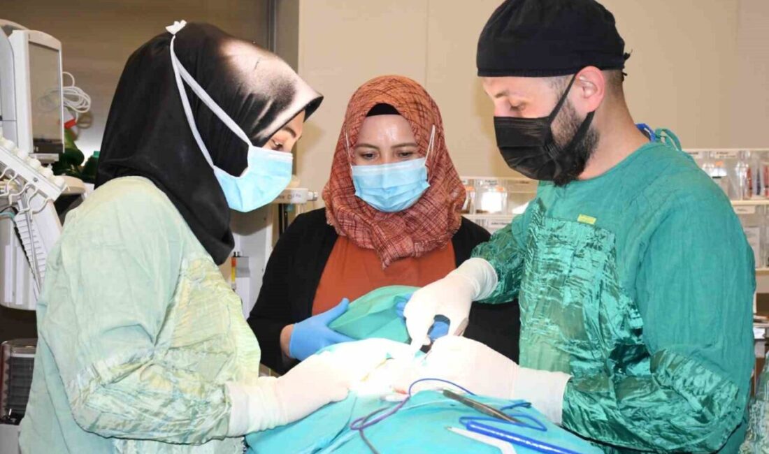 10 milyonda 5 kişide görülen ‘Paratiroid Karsinomu’ hastalığının tedavisi Yozgat’ta başarıyla yapıldı Yozgat'ta nadir görülen Paratiroid