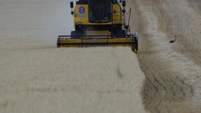 Yerköy’de 2025 yılı hasat sezonu arpa biçimiyle başladı. Türkiye’nin önemli