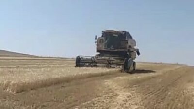 Yozgat’ın Yerköy ilçesinde 2025 yılı arpa hasat sezonu resmen başladı.
