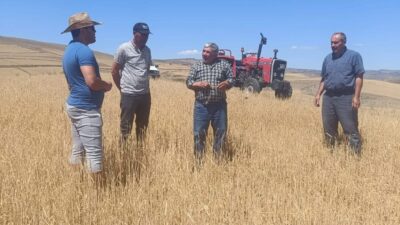 Yerköy’de Dolu Yağışı Sonrası Tarım Arazilerinde Hasar Tespit Çalışması Başladı