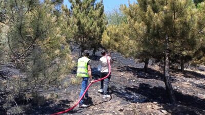 Yozgat merkez Tuzkaya Mahallesi’nde, ihmalkârlık sonucu çıkan ot yangını, itfaiye