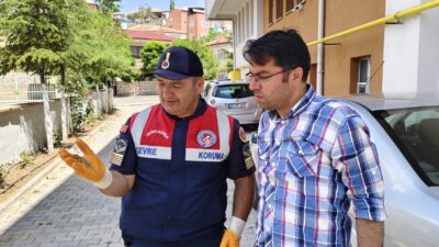 Yozgat’ın Yerköy ilçesinde, nesli tükenme tehlikesi altında olan bozkır keleri