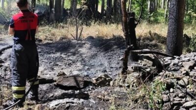 Çorum'un Osmancık ilçesindeki Güney köyünde ağaçlık alanda çıkan yangın, itfaiye