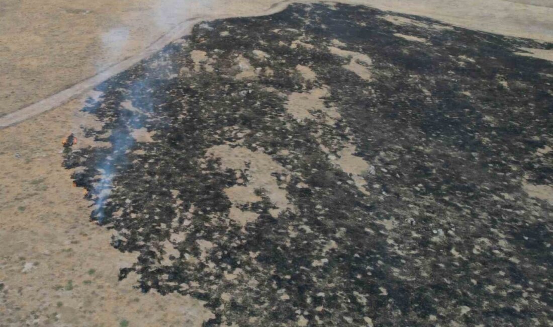 Alevler, tarım arazisine metreler kala kontrol altına alındı: 250 dönüm otluk alan kül oldu Çorum'un Alaca ilçesinde çıkan