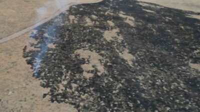 Çorum'un Alaca ilçesinde çıkan yangında 250 dönüm otluk alan zarar