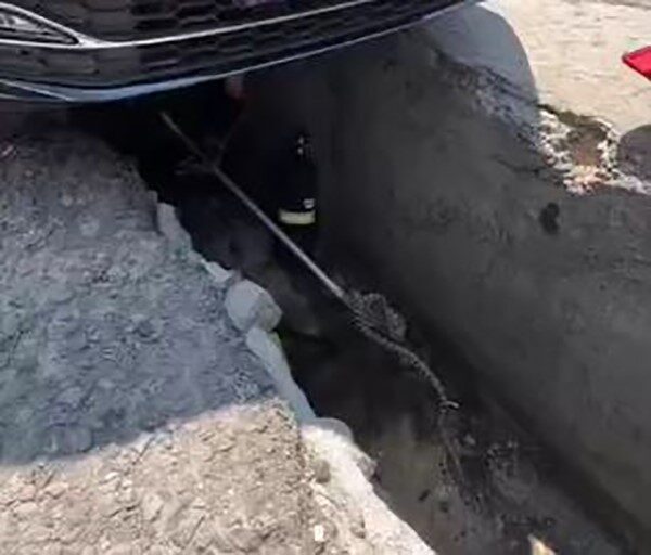 Ankara’da aracın altına giren yılan çıkarıldı Çamlıdere, Ankara'da aracın altına