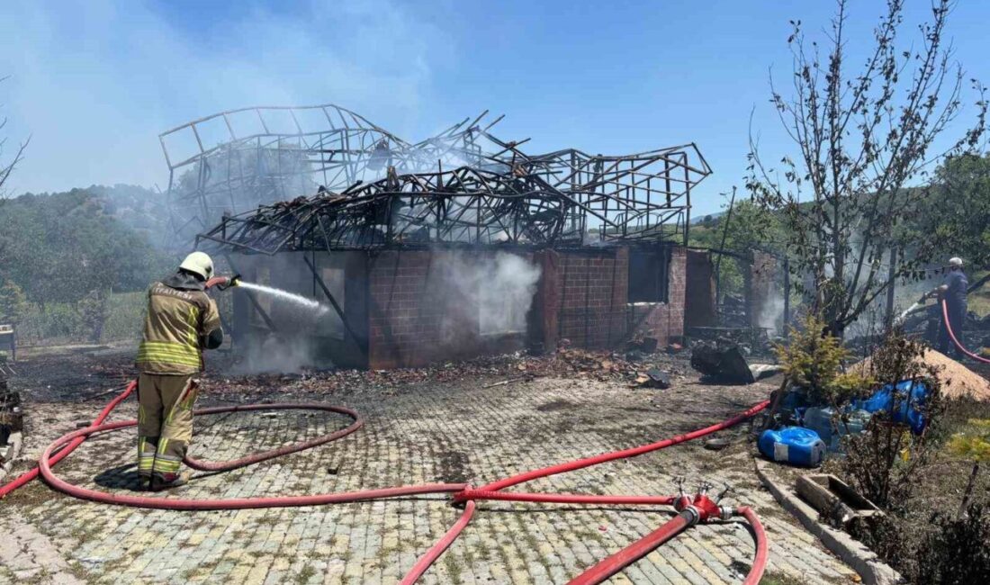 Ankara’da çıkan yangında bir ev kullanılamaz hale geldi Ankara'nın Nallıhan ilçesindeki Belenalan