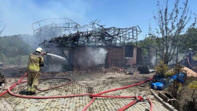 Ankara'nın Nallıhan ilçesindeki Belenalan Mahallesi'nde Mustafa T.'ye ait evde çıkan