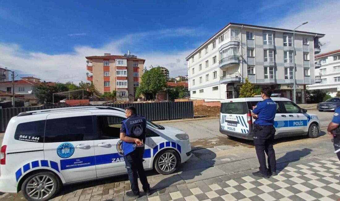 Akyurt ilçesinde kaçan dana, yolda yürüyen yaşlı kadına çarparak yaraladı.