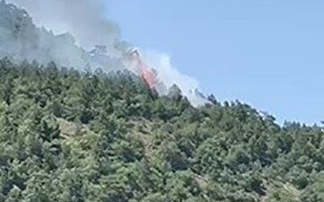 Ankara'nın Kızılcahamam ilçesindeki Soğuksu Milli Parkı'nda çıkan orman yangınına karadan