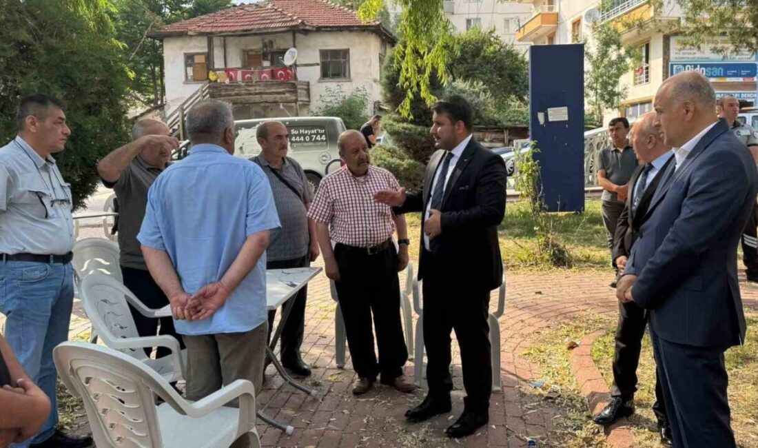 Selim Çırpanoğlu, Satıkadın Mahallesi'nde Sancak Parkı ve çay bahçesi inşaatını