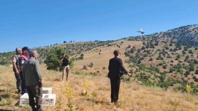 Yozgat'ın Aydıncık ilçesinde Kazankaya Kanyonu'nda 225 keklik doğaya bırakıldı. Yaban