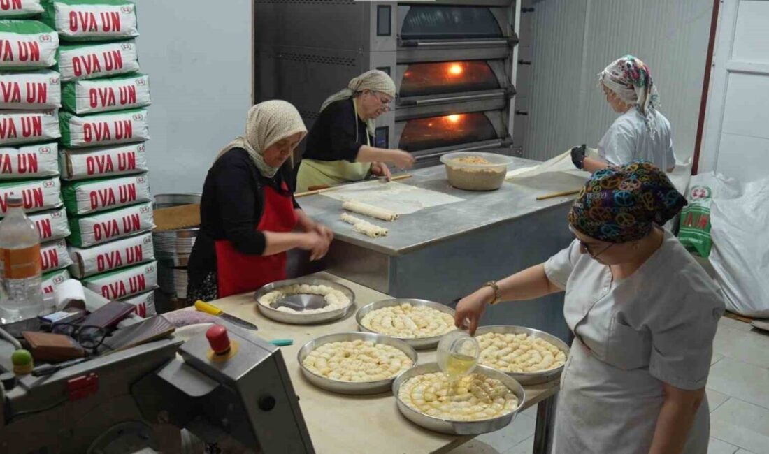 Beypazarı ilçesinde Kurban Bayramı için hazırlıklar yoğunlaşıyor. Kınalı Eller Kadın